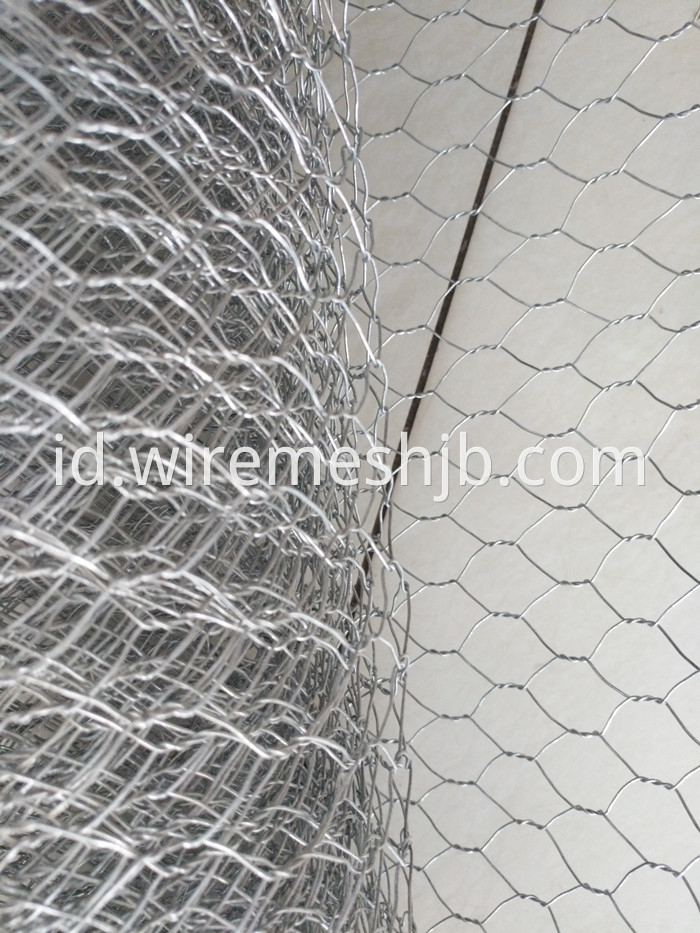 Hexagonal Mesh Fence